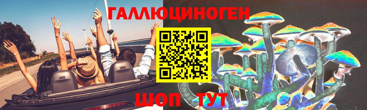 Псилоцибиновые грибы GOLDEN TEACHER  Вход с VPN  Гай 